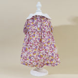 Girly Style Floral Lace Princess Dress Cat Costume